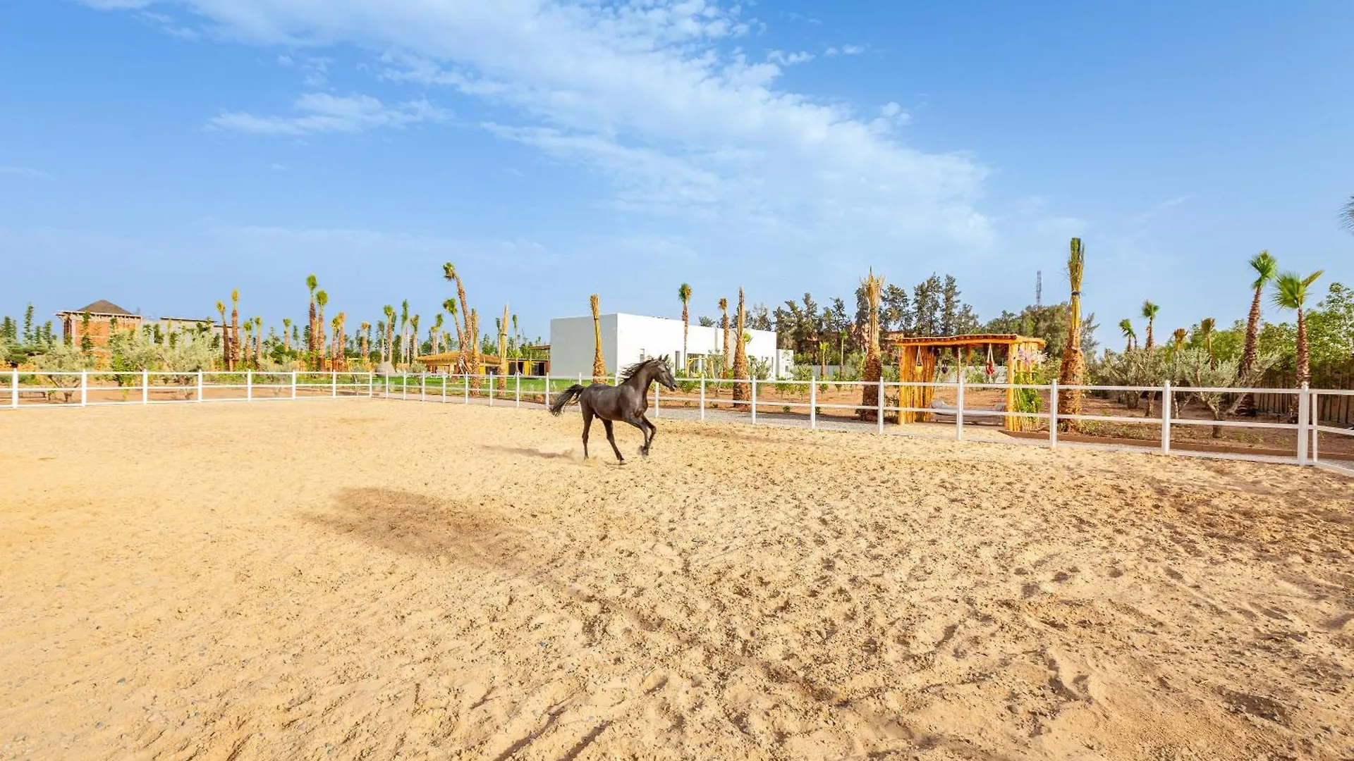 Villa Tropicana, Elegeance, Exotisme,Piscine,Jacuzzi مراكش المغرب